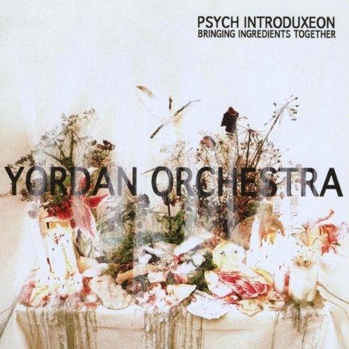 cd - Yordan Orchestra - Psych Introduxeon/Bringing Ingred..., Cd's en Dvd's, Cd's | Overige Cd's, Zo goed als nieuw, Verzenden