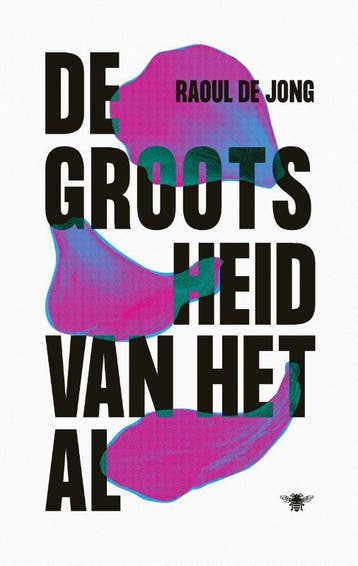 De Grootsheid Van Het Al | Raoul Jong | Nieuw, Ophalen of Verzenden, Nieuw, Raoul Jong