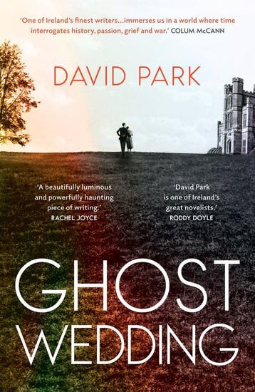Ghost Wedding - David Park 9780861549986, Verzenden, Gelezen, David Park