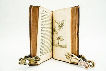 Jan Goedart - Metamorphosis et Historia Naturalis Insectorum