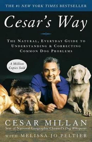 Cesars Way - Cesar Millan 9780307337979, Verzenden, Gelezen, Cesar Millan