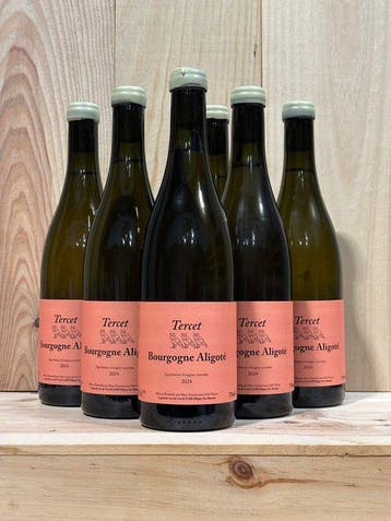2024 Tercet (Marc Soyard) - Bourgogne Aligoté - 6 Flessen, Nieuw