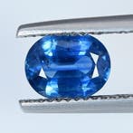 Blauw Saffier - 1.75 ct - nternational Colored Gemstone, Nieuw