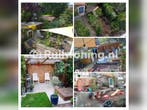 Ruimere woning gezocht in Amsterdam omgeving (Noord-Holland), Amsterdam