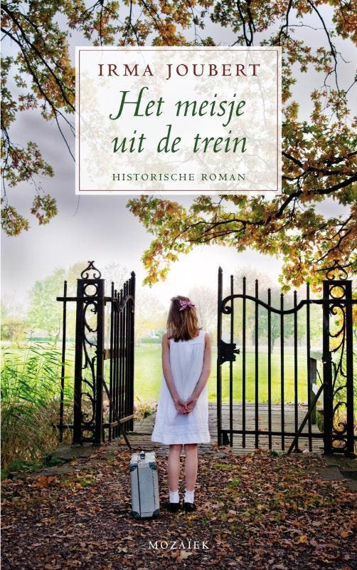 Het meisje uit de trein / Neethling trilogie / 2, Boeken, Historische romans, Gelezen, Verzenden
