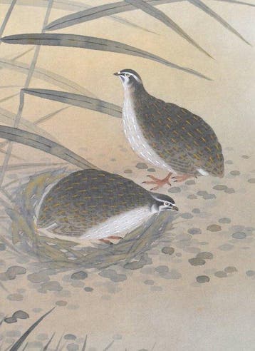 Japanse Hangende Rol - Schilderij van bloemen en vogels