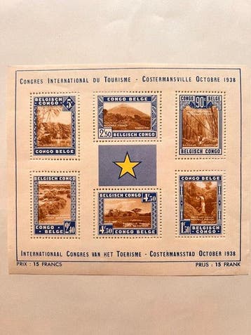 Belgisch-Congo - Belgisch-Kongo en Ruanda-Urundi, Gestempeld