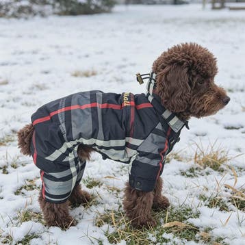 Winterjas voor Honden - Warm & Waterdicht 4-Poten Vest met V, Dieren en Toebehoren, Verzenden, Nieuw