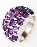 Zilver, Het Erfgoed van de Hoge Dignitarissen - Ring met