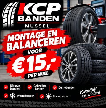 185 55 R15 15 Barum Quartaris5 allseason banden, Gebruikt, 15 inch, All Season, Band(en)