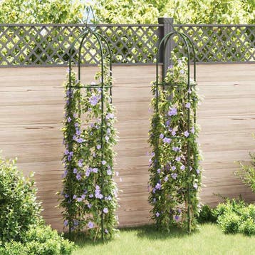 vidaXL Tuinboogtorens 2 st, Verzenden, Nieuw