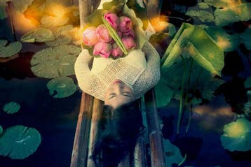 Viet Ha Tran - The Lotus Lake (Framed)