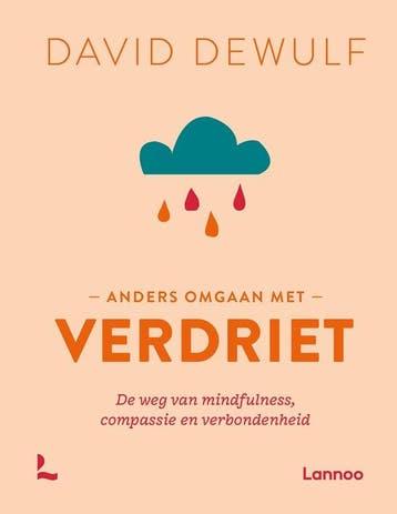 9789401484558 Anders omgaan met verdriet | Tweedehands, Verzenden, Zo goed als nieuw, David Dewulf