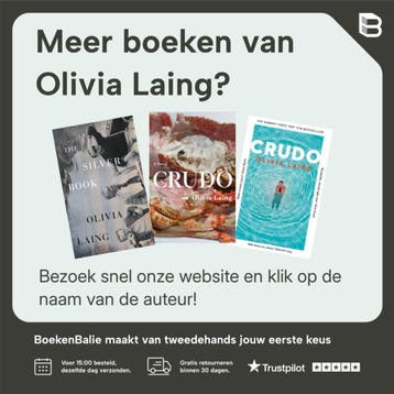 De eenzame stad 9789023494584 Olivia Laing, Boeken, Verzenden, Gelezen, Olivia Laing