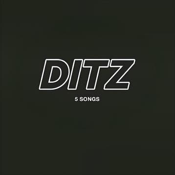 lp nieuw - ditz - 5 SONGS (nieuw), Verzenden, Zo goed als nieuw, Overige formaten