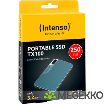 Intenso TX100 250GB, Verzenden, Nieuw, Intenso