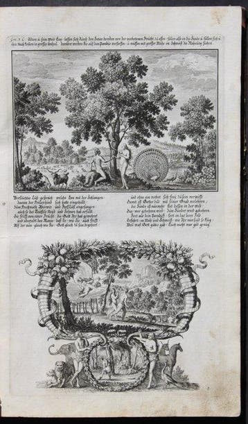 Barock Bilderbibel - Historische Bilder-Bibel. 5 Teile in