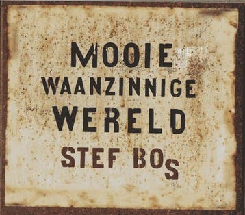 cd digi - Stef Bos - Mooie Waanzinnige Wereld, Verzenden, Zo goed als nieuw