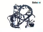Kabelboom Kawasaki Versys 1000 2015-2018 (KLZ1000B), Verzenden, Gebruikt