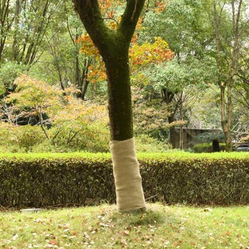 vidaXL Jute rol 200 g/m² 1x25 m 100% jute, Verzenden, Nieuw