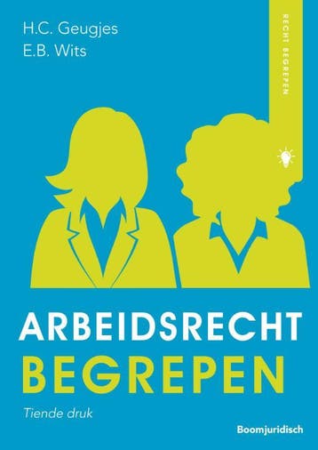Arbeidsrecht begrepen 9789462901544, Verzenden, Zo goed als nieuw