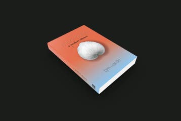2dekans | Mark Hollis: A Perfect Silence, Ophalen of Verzenden, Nieuw