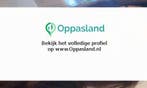 Ik ben Anna, 20 jaar oud en ik zoek oppaswerk in Emmen.