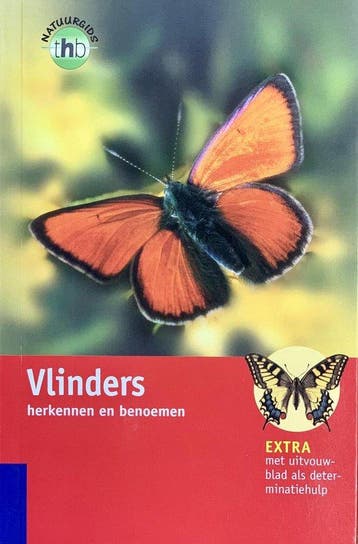 Vlinders Herkennen En Benoemen, Ophalen of Verzenden, Nieuw