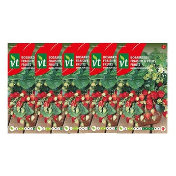 Aardbeienzaad | VT | 5 stuks (Bosaardbei), Verzenden