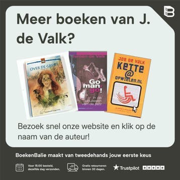 Het schildersmenneke / Terugblikken leesboeken / 33, Verzenden, Zo goed als nieuw, J. de Valk