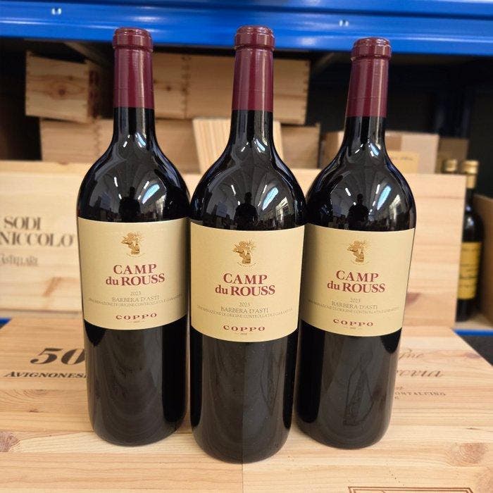 ≥ 2023 Coppo, Camp du Rouss - Piëmont DOCG - 3 Magnums (1.5L) — Wijnen ...