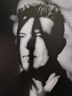Antonín Kratochvíl - David Bowie