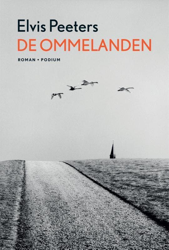 De ommelanden 9789057599606 Elvis Peeters, Boeken, Romans, Gelezen, Verzenden